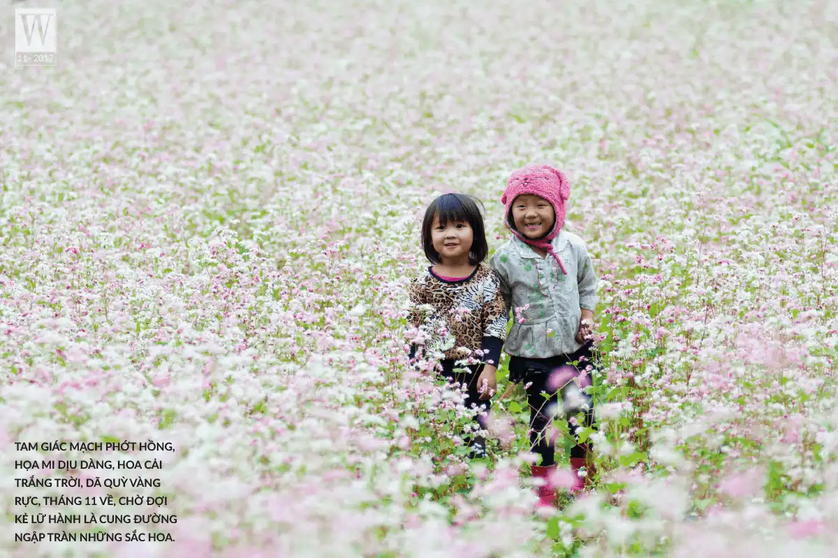 Tháng 11 và những cung đường hoa 7 wanderlust tips Thang 11 va nhung cung duong hoa1