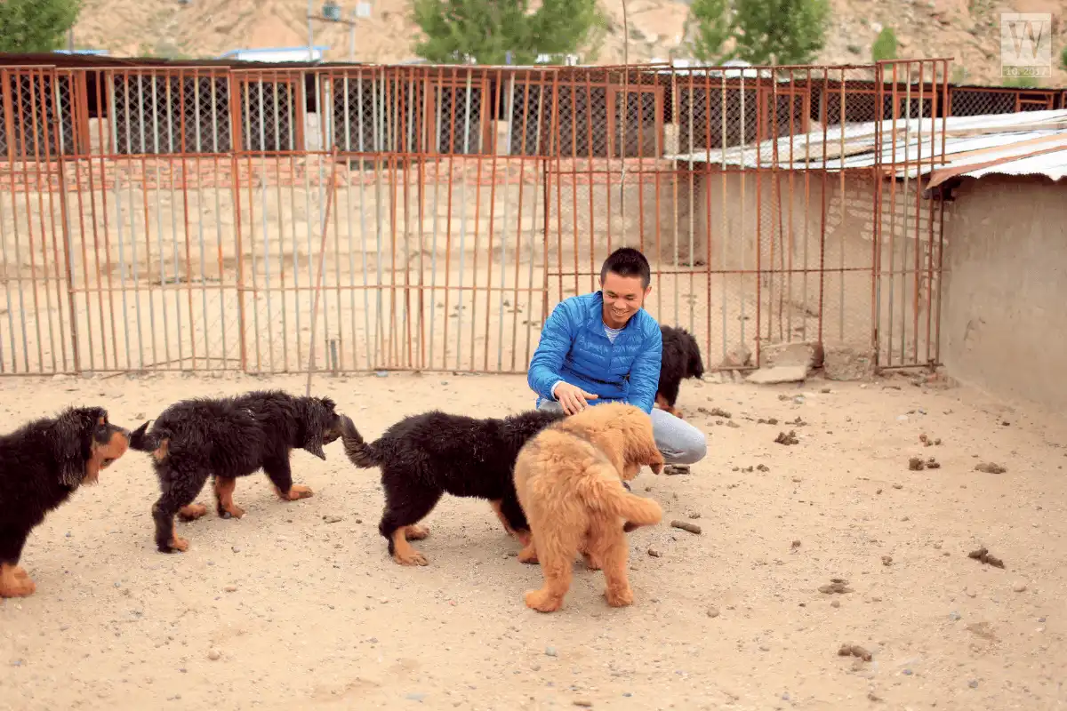 wanderlust tips Travel bloggers Giac mo dang gia bao nhieu4