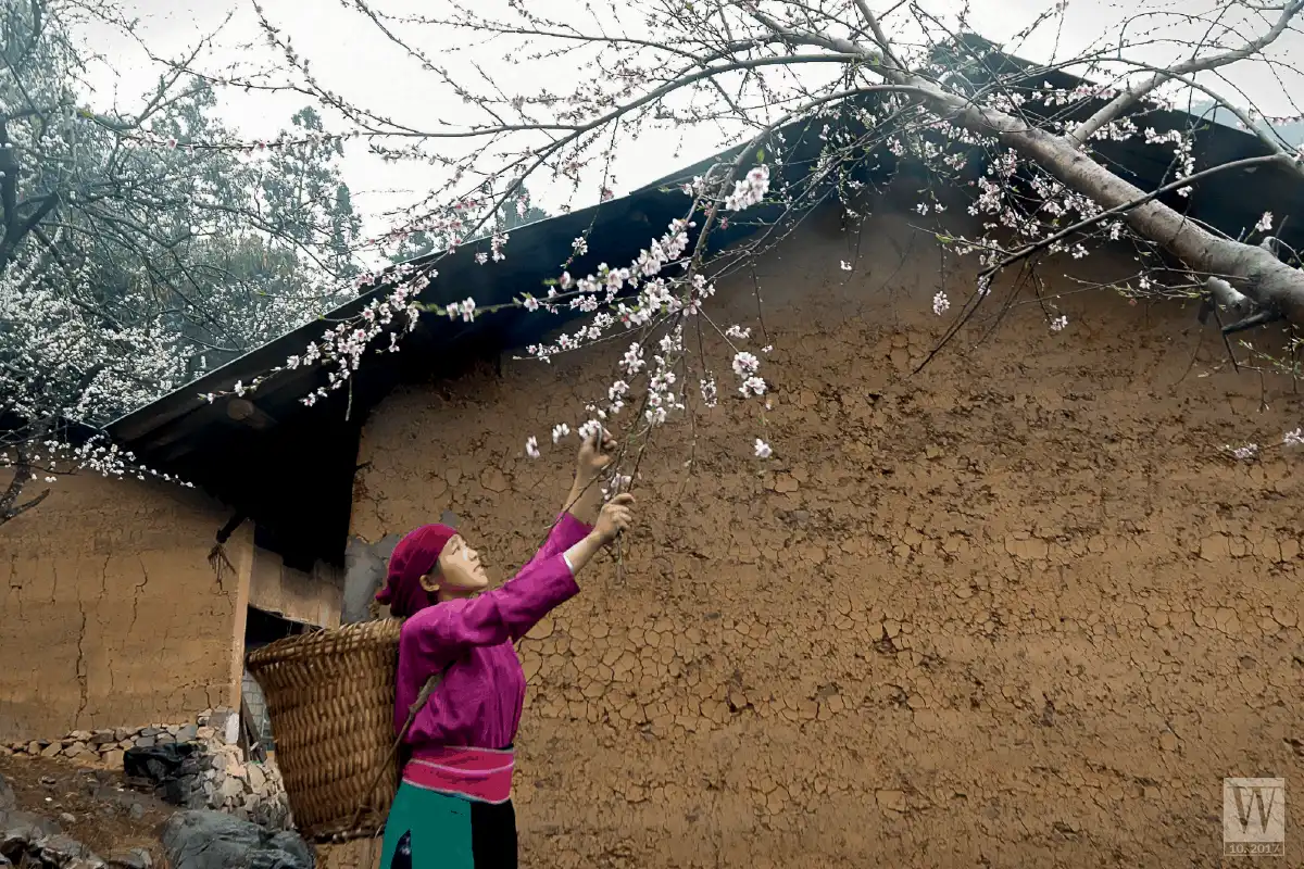 Về Hà Giang, kể chuyện người mông trên những đỉnh trời đá xám 10 wanderlust tips Ve Ha Giang ke chuyen nguoi mong tren nhung dinh troi da