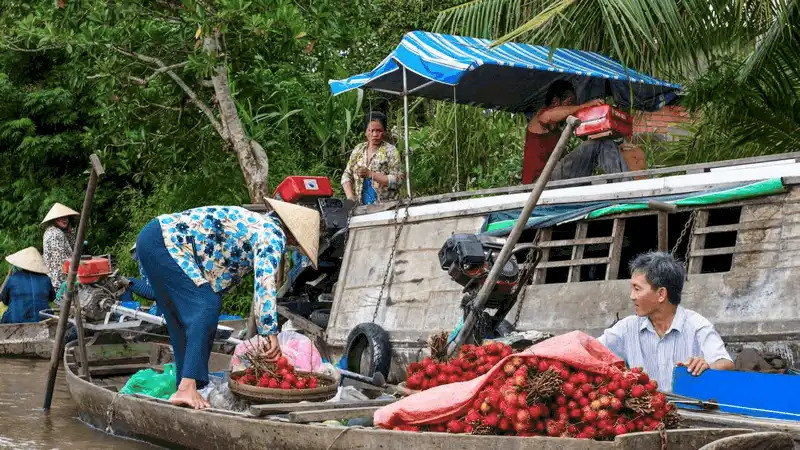 wanderlust tips bao anh gioi thieu tour xe may kham pha viet nam 8