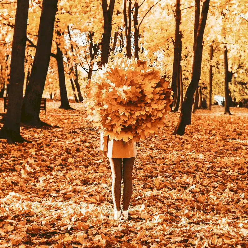 wanderlust tips bo anh mua thu dep nhu mien co tich tu khap moi noi tren gioi 10