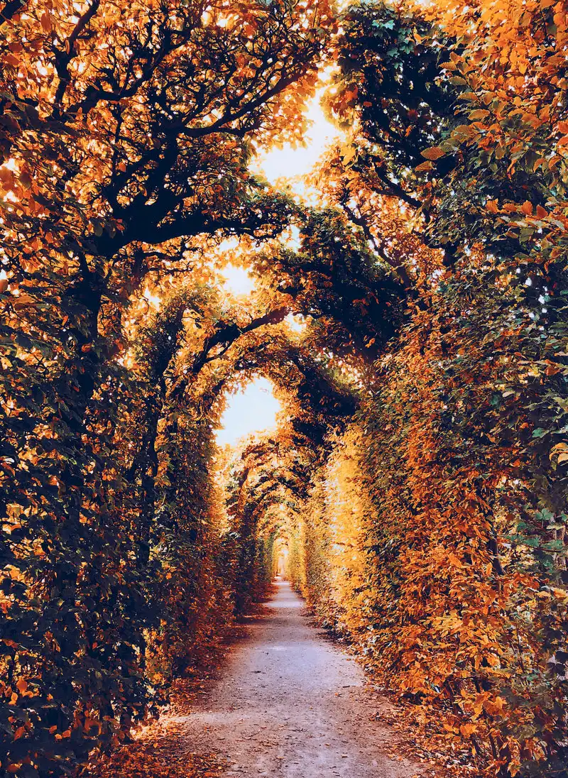 wanderlust tips bo anh mua thu dep nhu mien co tich tu khap moi noi tren gioi 5