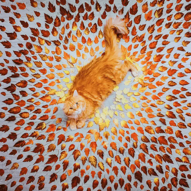 wanderlust tips bo anh mua thu dep nhu mien co tich tu khap moi noi tren gioi 6