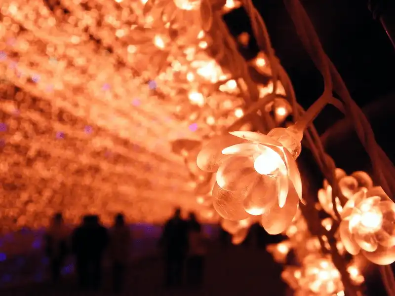 Kỳ ảo đường hầm ánh sáng ở xứ sở hoa anh đào 9 wanderlust tips choang ngop voi duong ham anh sang dep ky ao o xu hoa anh dao 1