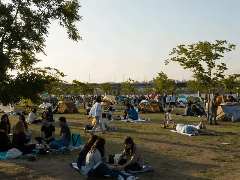 wanderlust tips chum anh cho thay su tuong phan lon giua han quoc va bac trieu tien 13