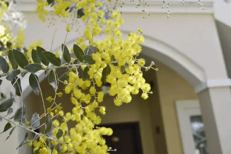 wanderlust tips da lat di qua nhung mua hoa 16