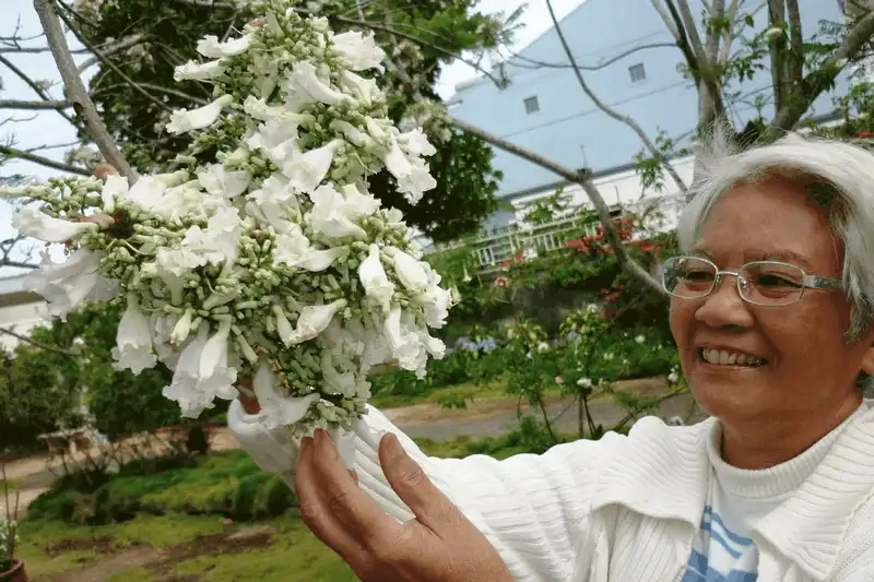 wanderlust tips da lat di qua nhung mua hoa 3