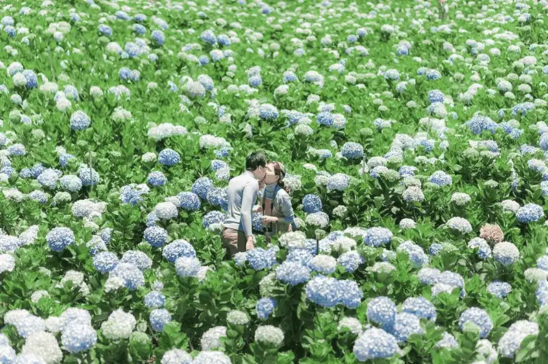 wanderlust tips da lat di qua nhung mua hoa 9