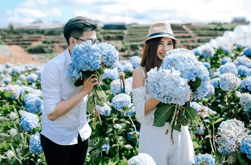 wanderlust tips du lich da lat nhat dinh phai ghe vuon cam tu cau dep ngay ngat 3