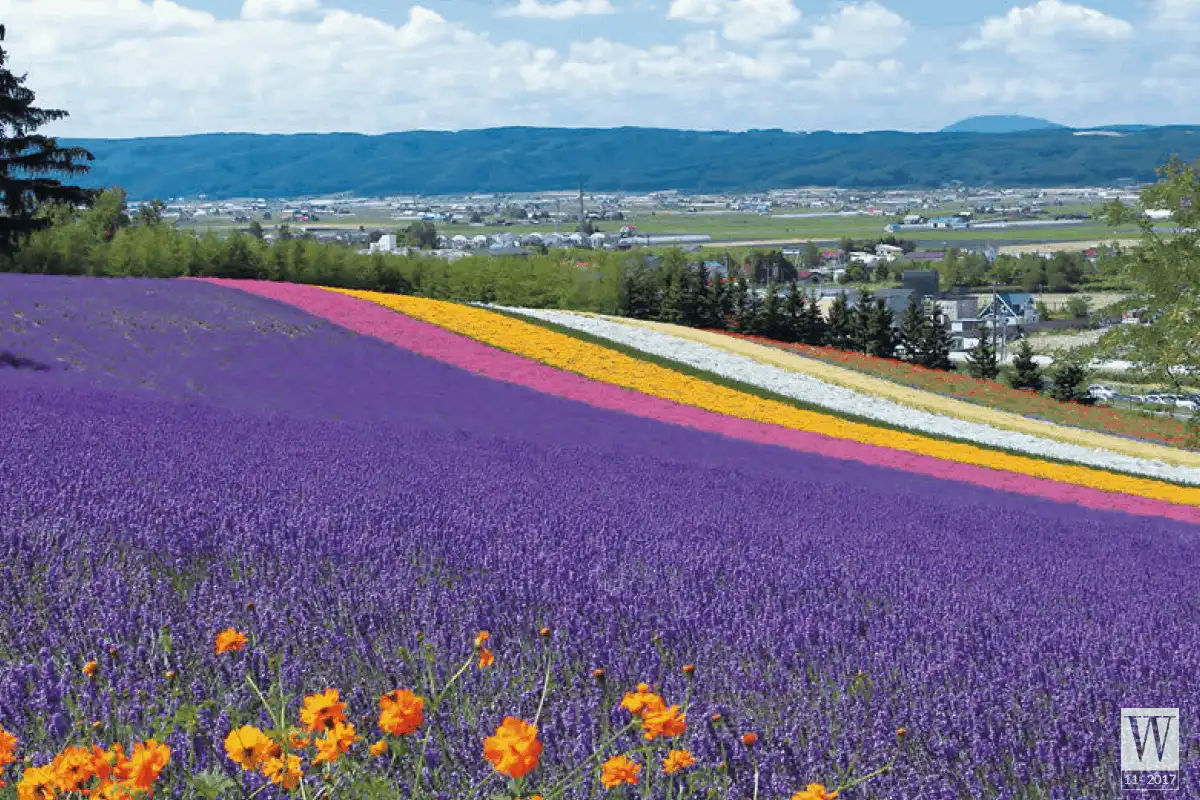 wanderlust tips hokkaido hon dao soi dong2