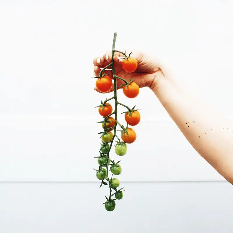 wanderlust tips man nhan voi nhung anh chup thuc pham cua nhiep anh gia my 12