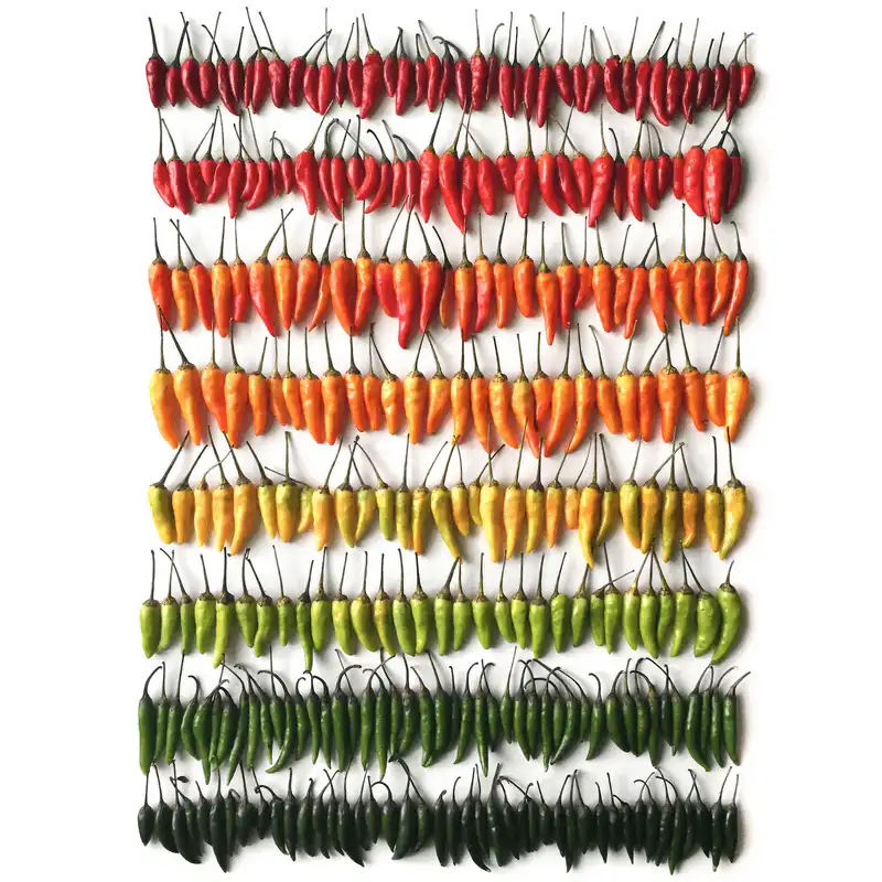 wanderlust tips man nhan voi nhung anh chup thuc pham cua nhiep anh gia my 7