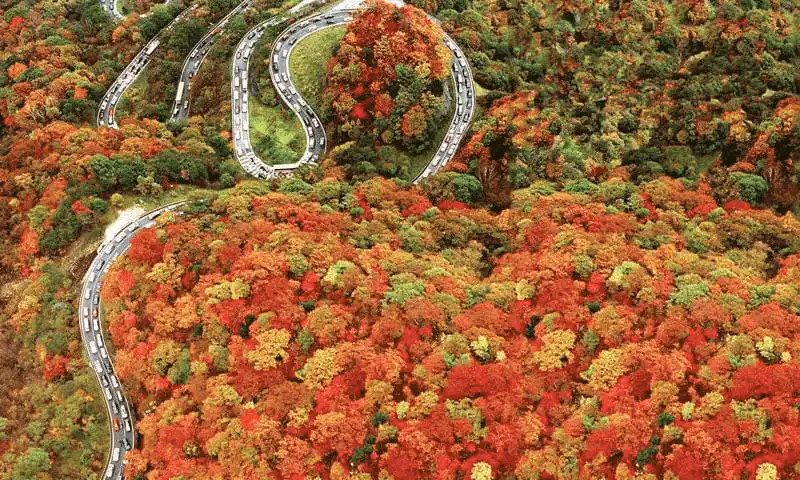 wanderlust tips mua thu quyen ru tren con duong nguy hiem nhat hanh tinh o nhat ban 1