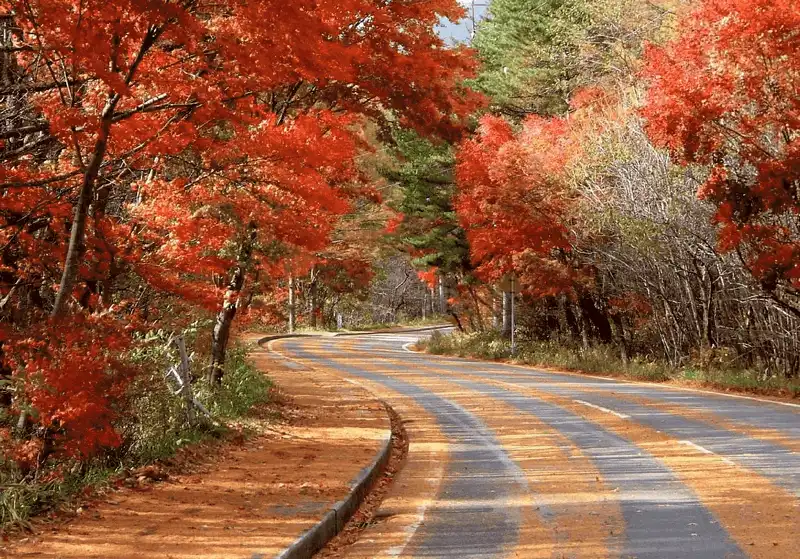 wanderlust tips mua thu quyen ru tren con duong nguy hiem nhat hanh tinh o nhat ban 6