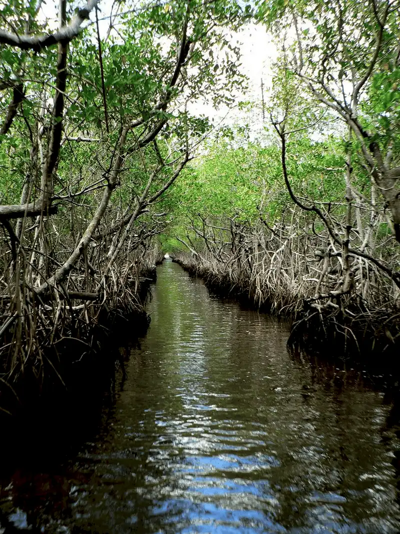 wanderlust tips ngan ngo voi 30 ki quan thien nhien dep hon o bac 8