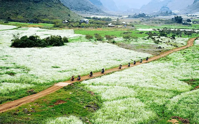 wanderlust tips nhung diem ngam hoa cai moc chau dep nhu mo 2