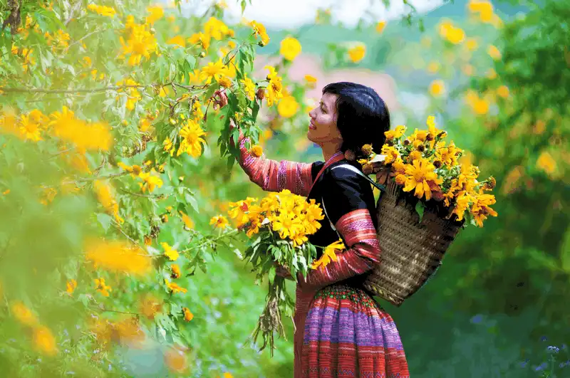 wanderlust tips nhung diem ngam hoa cai moc chau dep nhu mo 5