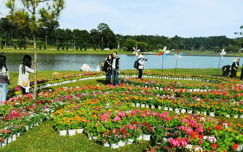 wanderlust tips phat 10 000 ban du lich mien phi dip festival hoa da lat