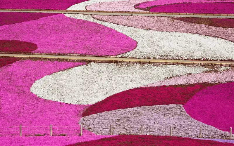 wanderlust tips ruong bac thang cua viet nam lot top 15 ky quan thien nhien tren gioi 4