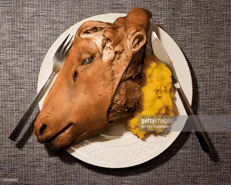 wanderlust tips smalahove mon khien thuc khach khoc thet cua na uy 5