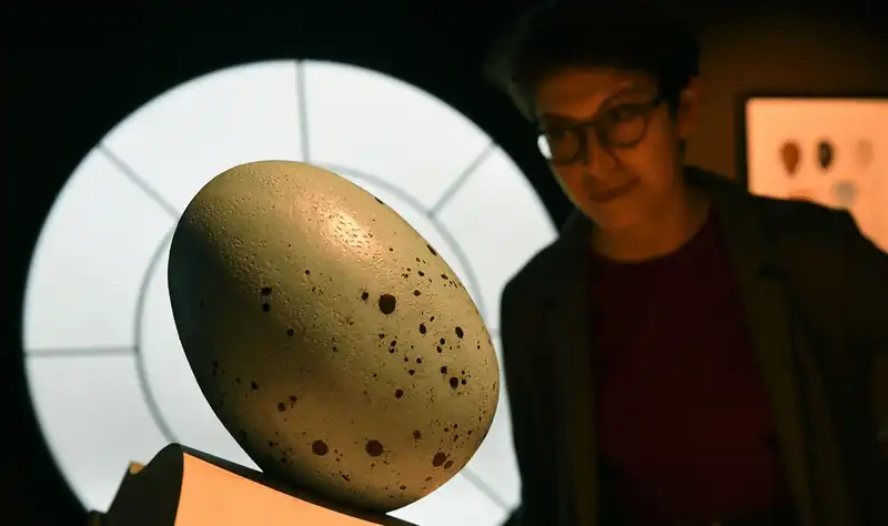 wanderlust tips trien lam the gioi phu thuy harry potter tai anh khien cac fan thich thu 6