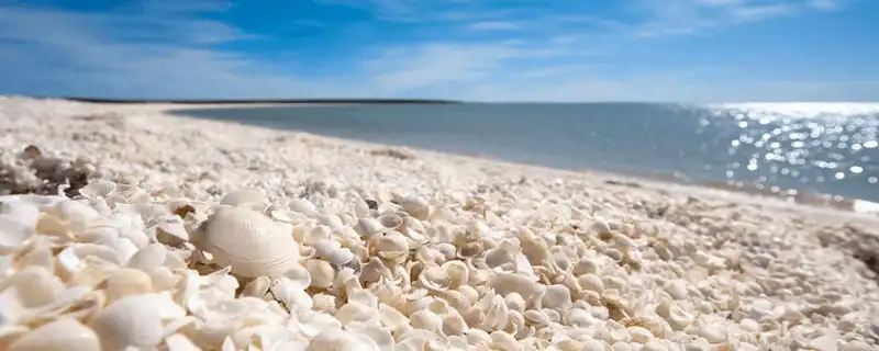 wanderlust tips ve dep doc dao cua bai bien vo tai uc 2