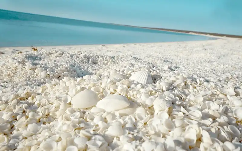 wanderlust tips ve dep doc dao cua bai bien vo tai uc 6