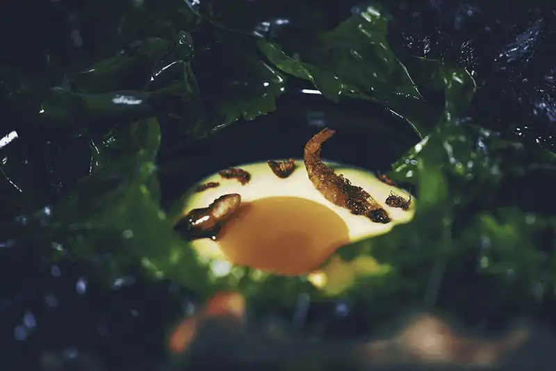 wanderlust tips ve dep doc dao cua nha hang duoi bien dau tien tai chau au 6