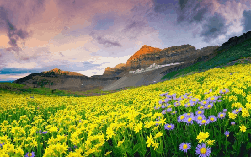 wanderlust tips 10 trai nghiem an do thu vi nhat 0