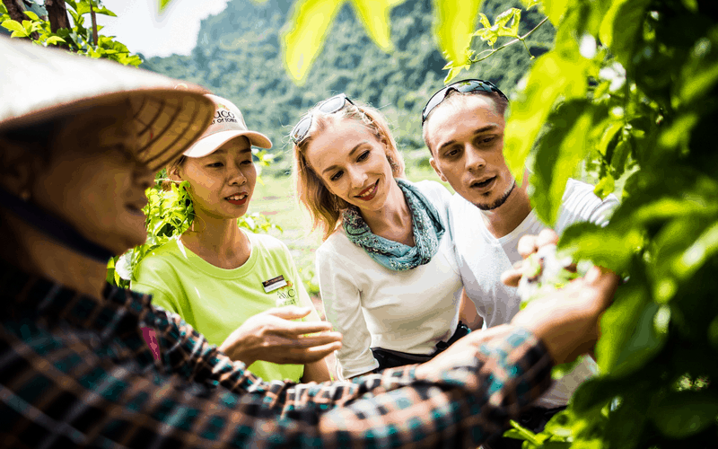 wanderlust tips Bhaya Group ra mat hanh trinh moi khac biet 11