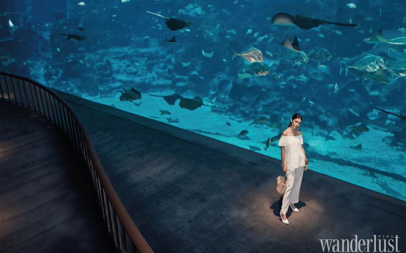 Tone of Extravagance 5 wanderlust tips Tone of Extravagance 11