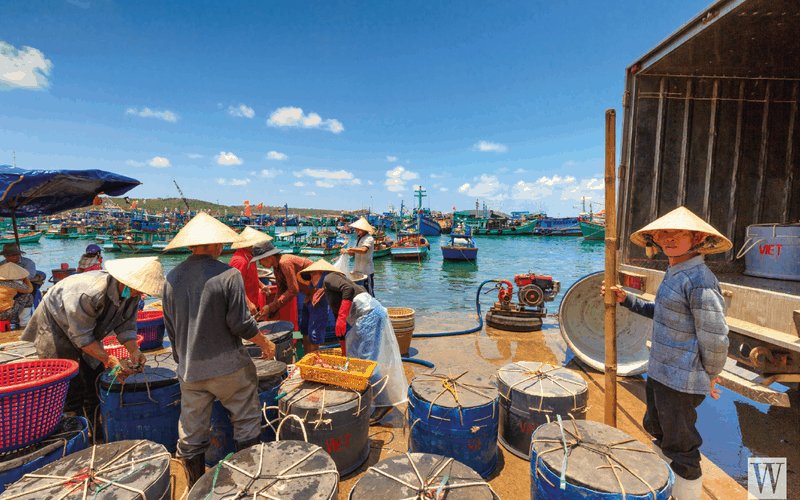 wanderlust tips phu quoc di nho ve thuong 11