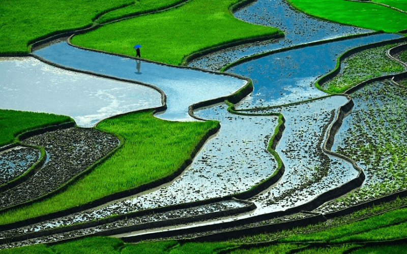 wanderlust tips ruong bac thang cua viet nam lot top 15 ky quan thien nhien tren gioi 6