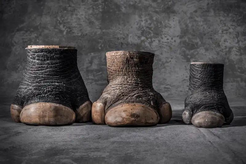 wanderlust tips 11 buc hinh anh ve loi keu cuu cua tu nhien va dong vat hoang da 11