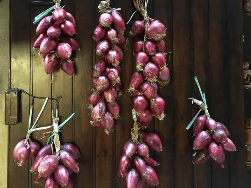 wanderlust tips 19 phong tuc don nam moi day thu vi cua cac quoc gia tren the gioi 14