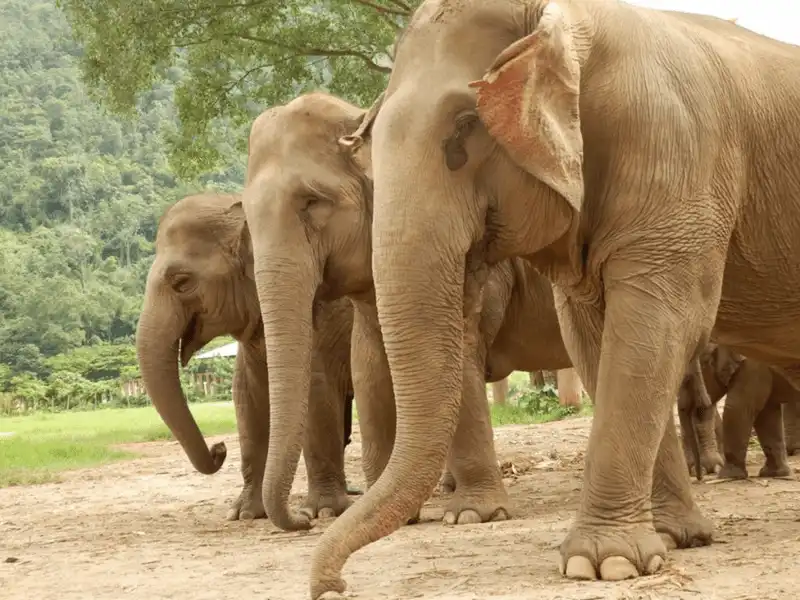 wanderlust tips 20 trai nghiem de doi du khach nhat dinh phai thu neu ghe tham chau 14