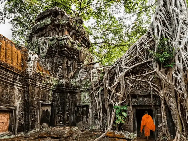 wanderlust tips 20 trai nghiem de doi du khach nhat dinh phai thu neu ghe tham chau 9