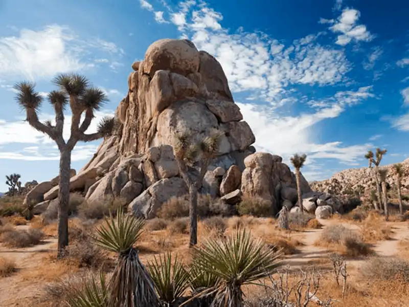 wanderlust tips 20 vuon quoc gia ngoan muc nhat tai my 17