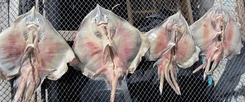 wanderlust tips 4 mon dac san an tuoi nuot song thach thuc thuc khach o han quoc 5