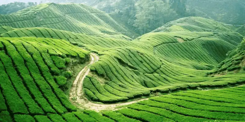 wanderlust tips 5 dia diem trong nuoc la diem den ly tuong cho ki nghi tet duong lich 2018 7