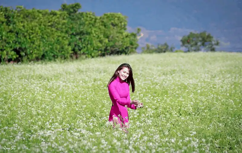 wanderlust tips 5 loai hoa dai dien cho sac troi da lat trong thang 12 11