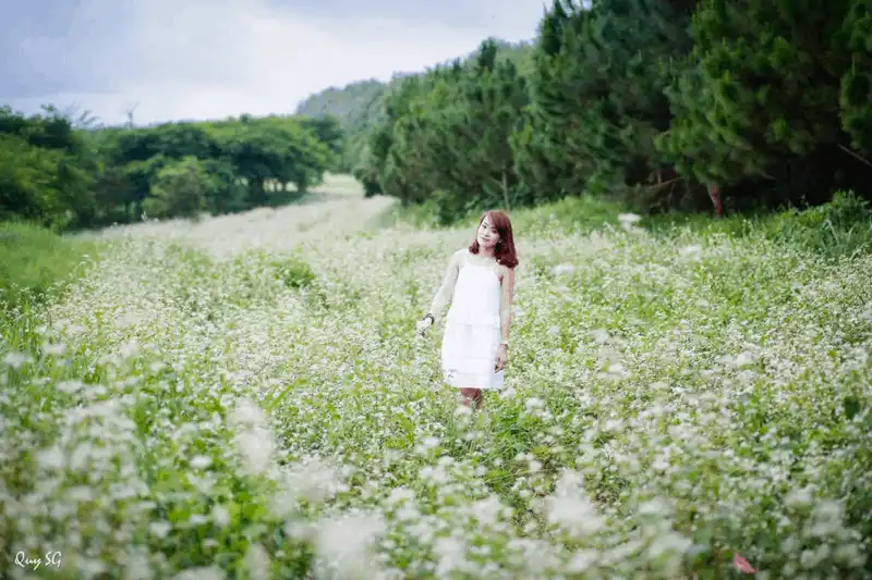 wanderlust tips 5 loai hoa dai dien cho sac troi da lat trong thang 12 7