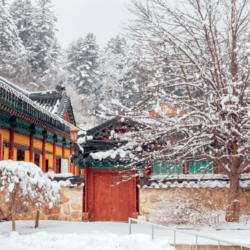 wanderlust tips 8 ly do phai den Gangwon do xu so than tien mua dong1 1