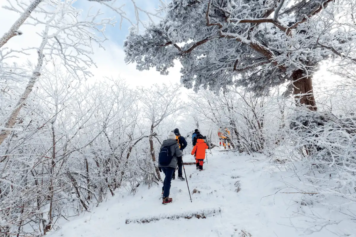 wanderlust tips 8 ly do phai den Gangwon do xu so than tien mua dong1