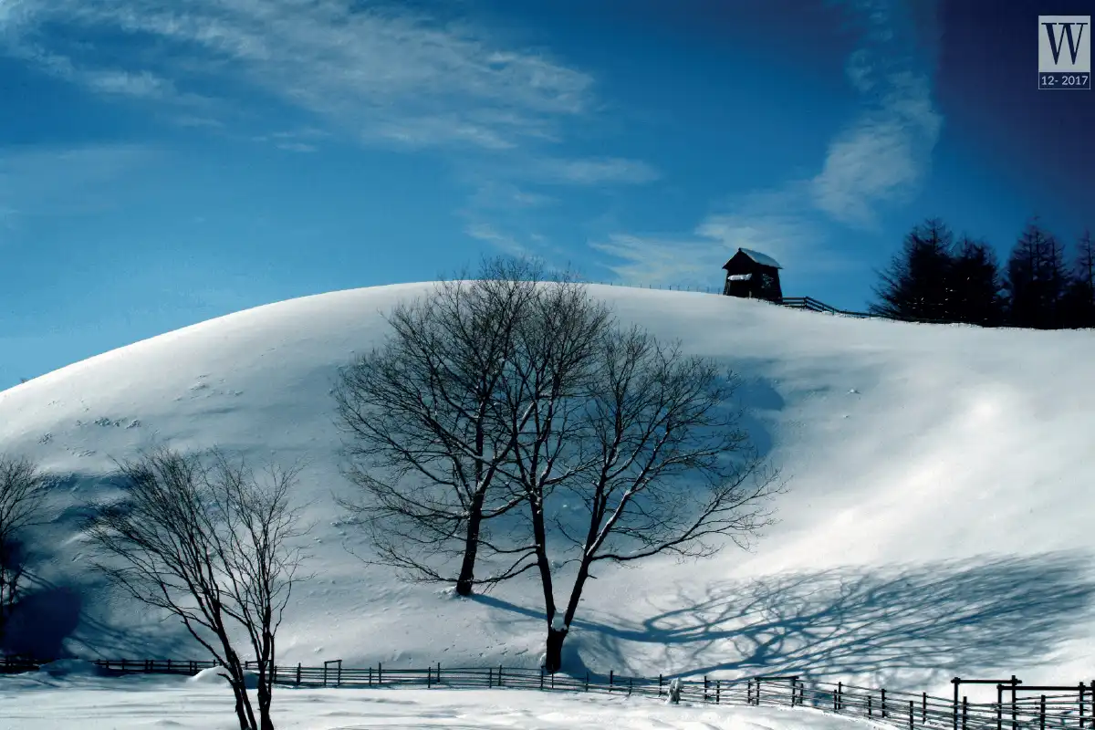 wanderlust tips 8 ly do phai den Gangwon do xu so than tien mua dong3