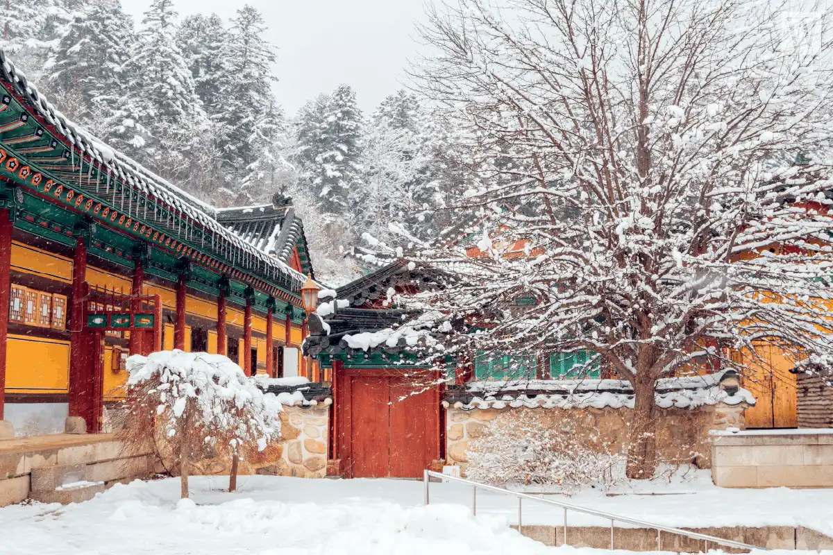 wanderlust tips 8 ly do phai den Gangwon do xu so than tien mua dong4