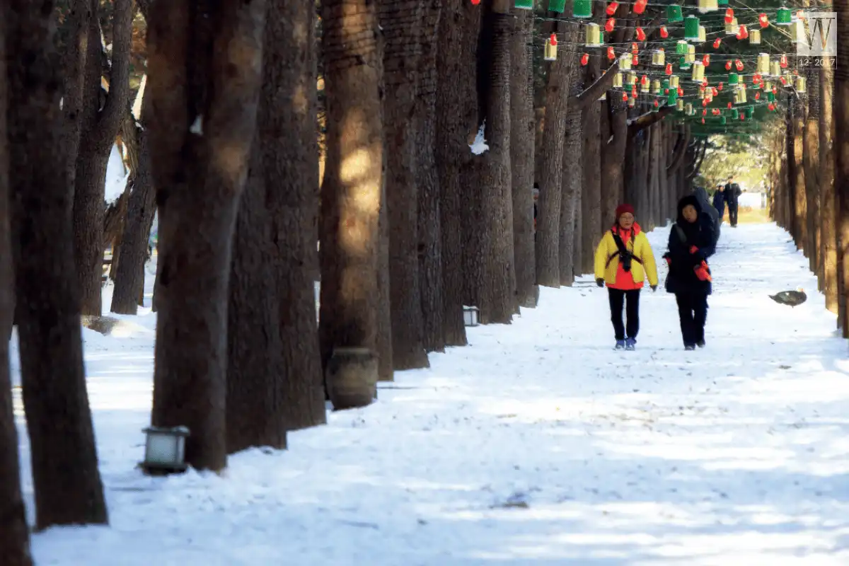 wanderlust tips 8 ly do phai den Gangwon do xu so than tien mua dong5