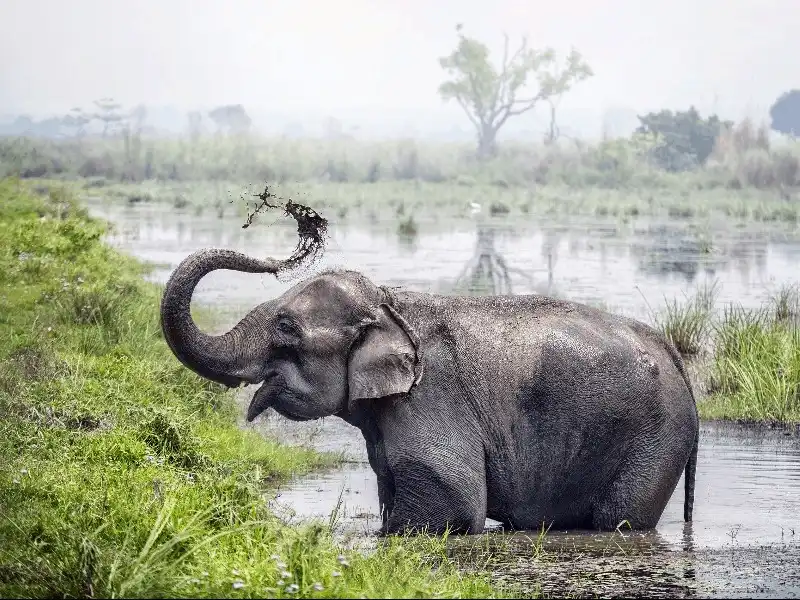 wanderlust tips 9 trai nghiem thu vi ban nen thu khi du lich den nepal 6