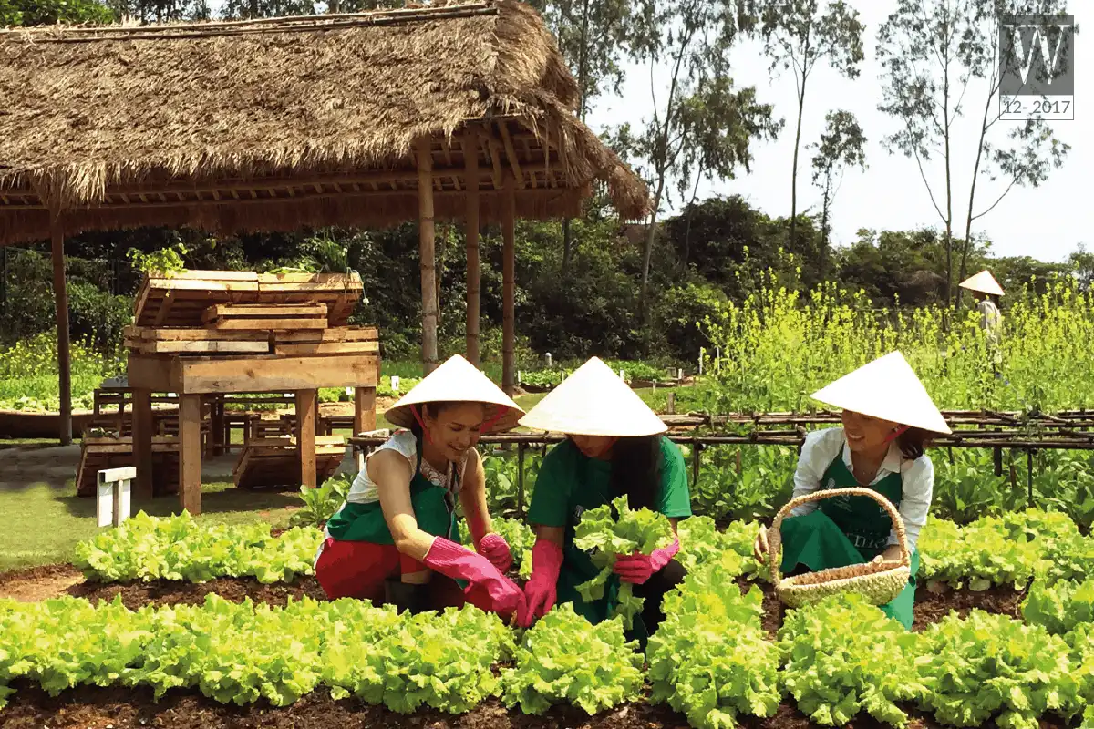 wanderlust tips Claire Chiang dong sang lap tap doan Banyan Tree Hotels Resorts1