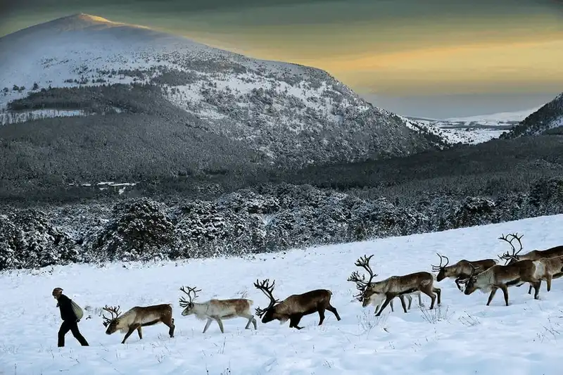 wanderlust tips den scotland tham nhung nguoi ban cua ong gia noel 14